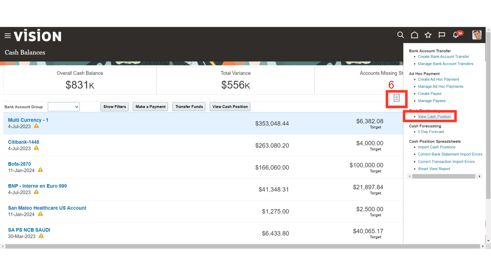 Click 'View Cash Position'